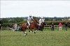 UKPA  NC Sat_1169